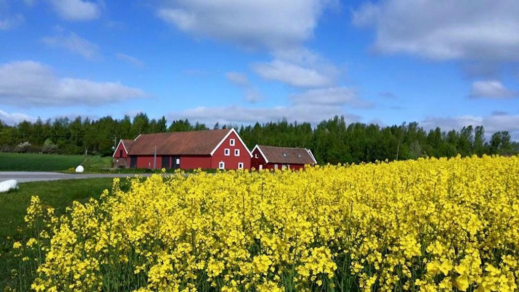 Red Bird Farm Bed & Breakfast Ystad Ngoại thất bức ảnh
